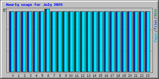 Hourly usage for July 2025