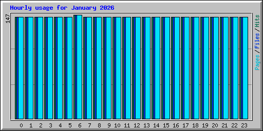 Hourly usage for January 2026